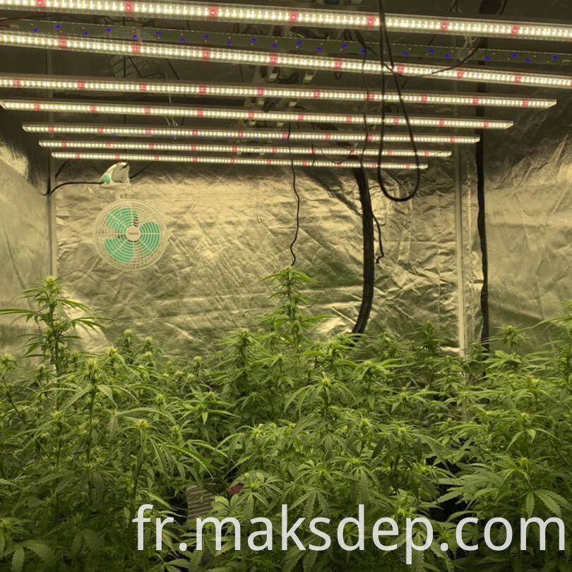 Factory Direct 1000w Led Grow Light